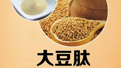 酶制劑在小分子大豆肽生產(chǎn)中的應(yīng)用