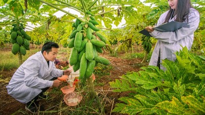 酶制劑公司排名：哪個(gè)廠家在食品、飼料、工業(yè)領(lǐng)域拔得頭籌