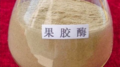 果膠酶的作用原理，正確使用方法與用量