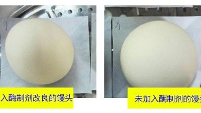 一文詳解面包酶制劑有什么作用？