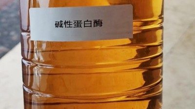 酶制劑助力含酶洗衣液品質升級