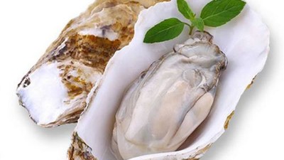 生產(chǎn)牡蠣低聚肽與多肽會(huì)用到哪些酶制劑